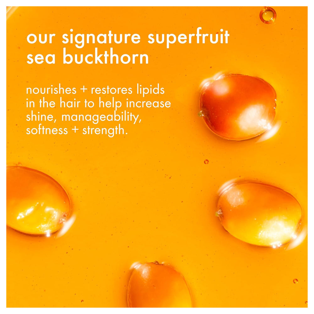 Amika The Wizard Detangling Hair Primer 150 mL / 5 oz. Detangles and Gives Heat Protection and Ultra-Hydration