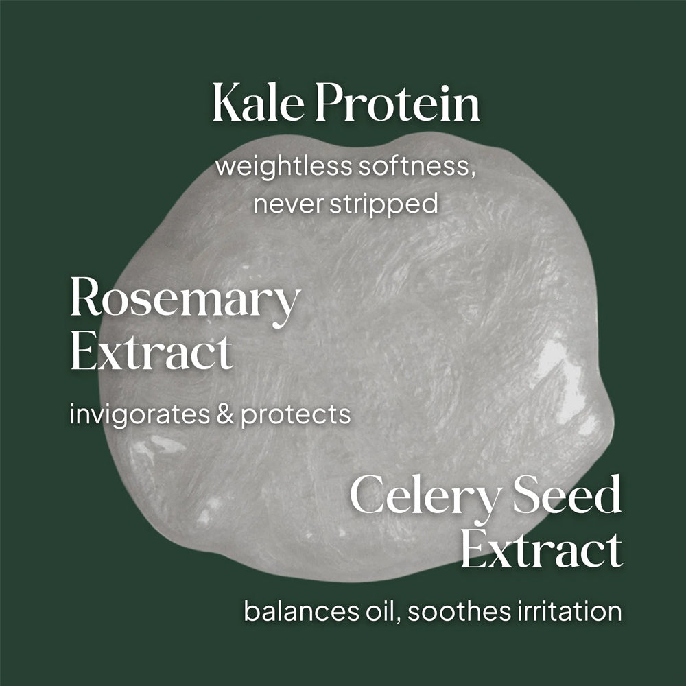 Loma Healthy Scalp Essensials Combo - 355 mL Shampoo - 355 mL Conditioner - 198 mL Style Crème - 100 mL Treatment