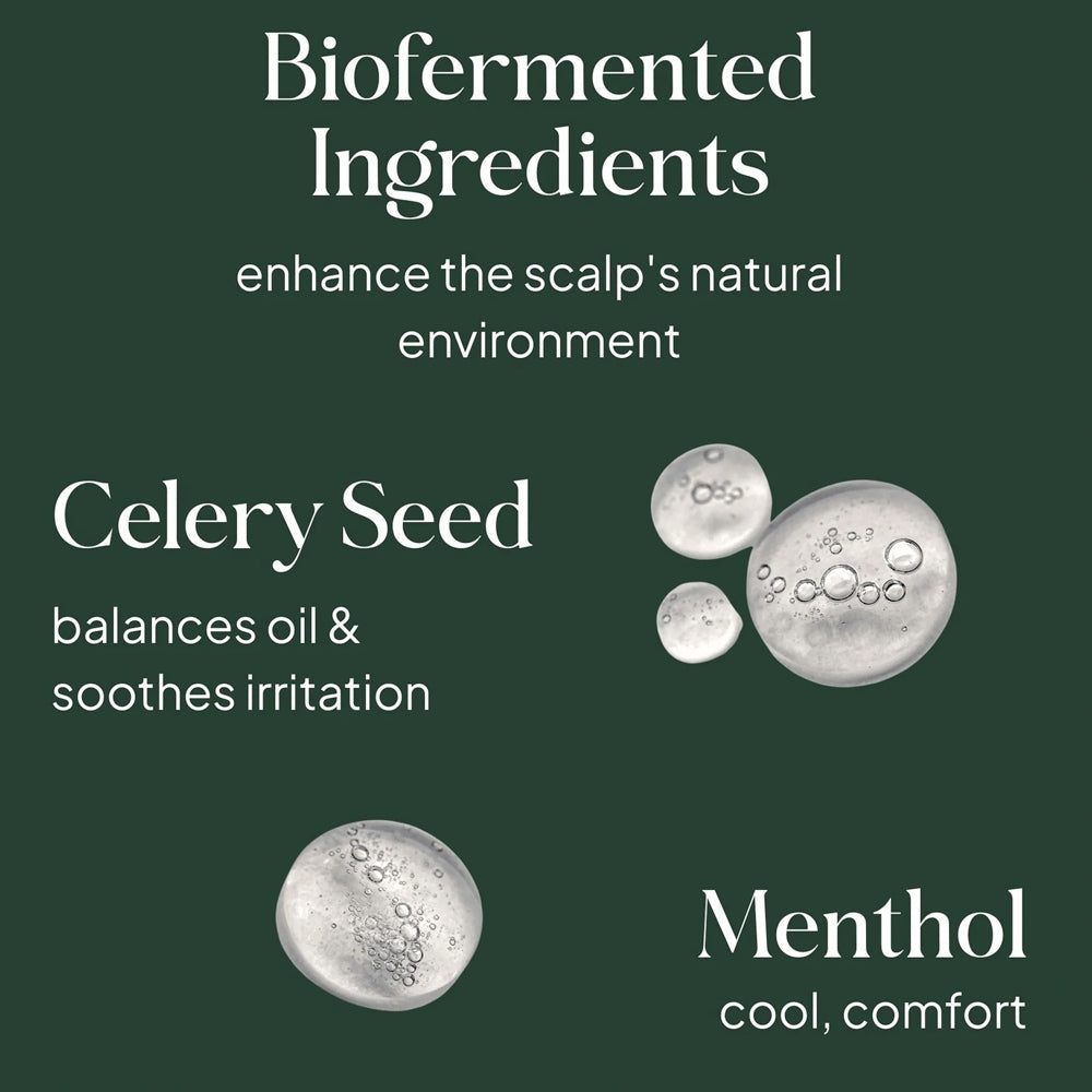 Loma Healthy Scalp Essensials Combo - 355 mL Shampoo - 355 mL Conditioner - 198 mL Style Crème - 100 mL Treatment