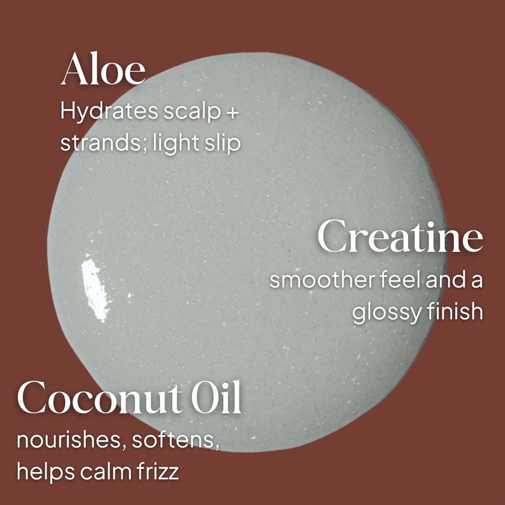 Loma Max Shine Shampoo 355 mL 12 fl. oz. - Essentials Mirror-Bright, Silicone-Free Shine