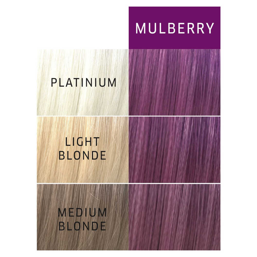 Wella Color Charm Paints - Mulberry - Semi Permanent Hair Color 2 oz. 57 g